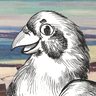 Profilbild von MarredHen (Now with a PngTube!)