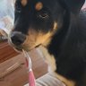 Profilbild von I1ano