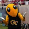 Officially Georgia Tech's profile picture