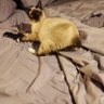 Libby profil fotoğrafı