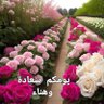 ورده القرنفل 的头像