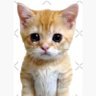 Stiggy's profile picture