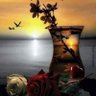 Cherrycherry's profile picture