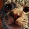 Profilbild von marti🐈