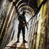Teguh Siddiq 🇵🇸's profile picture