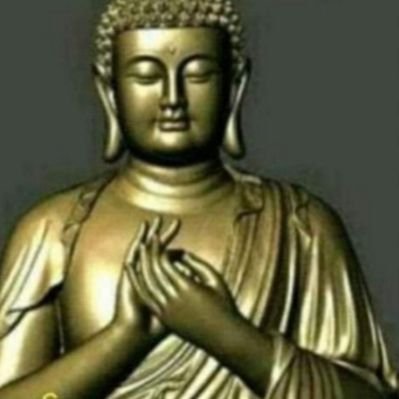 ahi_baran's profile picture