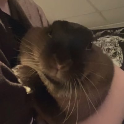 sugarcaneswitch's profile picture