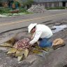 El viejo metiche! 的头像