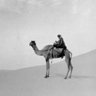 Фото профиля فيصل | بطل النخبة