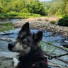. profil fotoğrafı