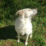 Profilbild von Travis