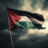 ThePalestinianDream 的头像