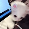Profilbild von 缘起qq