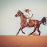فيصل الشمرى's profile picture