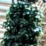 teeveesampradayam's profile picture