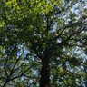 Фото профиля Eikelboom
