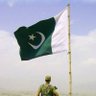 Imtiaz Raja's profile picture