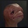 GoFirst's profile picture