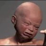 Profilbild von Boshomane Prince