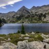 Profilbild von moolgar