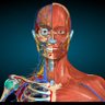 Learning Anatomy's profile picture