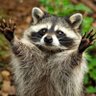 Фото профиля Travis Fox
