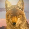 FTOrtega's profile picture