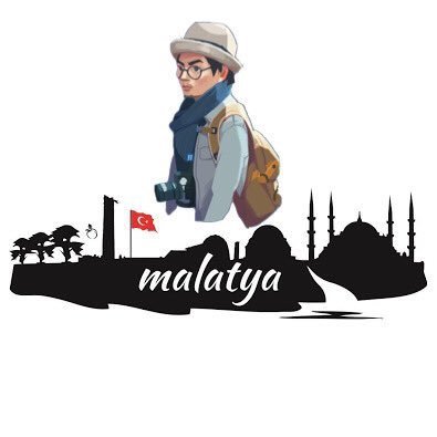 1MalatyaBeyefendisi's profile picture