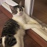 ozge's profile picture