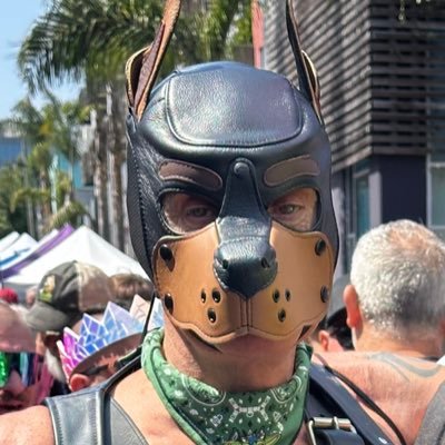 SrhPaul's profile picture