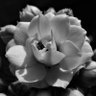 Фото профиля una_persona