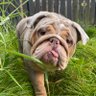 mamaTdex profil fotoğrafı
