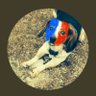 Фото профиля Warrior Beagle🇺🇸