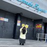 Фото профиля かずは🐹🤍