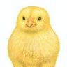 Фото профиля マンヒ🐥