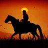 Marcus Quixote's profile picture