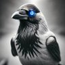 Profilbild von EdgarAllenCrow