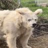 Фото профиля HairlessGrizzly