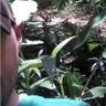 KC 的头像