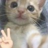 Profilbild von 人工降雨_