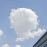 及时行乐's profile picture