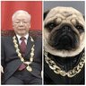 THẰNG TRỌNG LÚ profil fotoğrafı