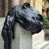 overthinking's profile picture