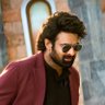 Box Office Ruler💥🔥's profile picture