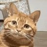 Profilbild von SKYKILLdeEXAM