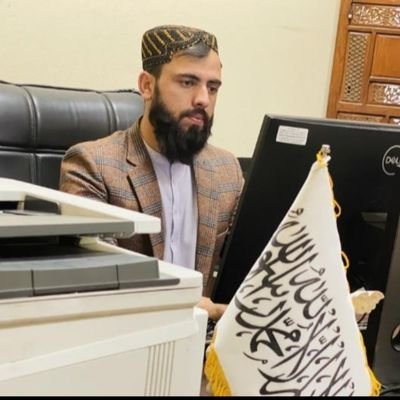pohan Alokozay's profile picture