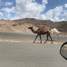 Profilbild von ابونوره