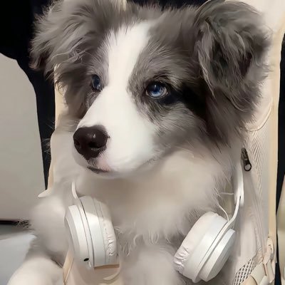 qingchun886695's profile picture