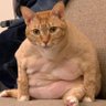 ……'s profile picture