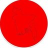 kausar alam's profile picture